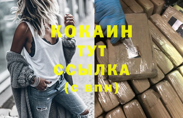 мдпв Магас