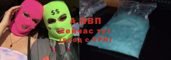 мдпв Магас