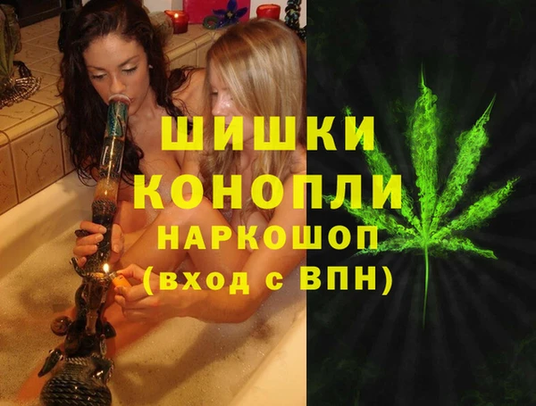 мдпв Магас