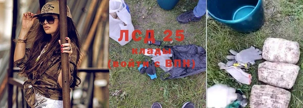 мдпв Магас