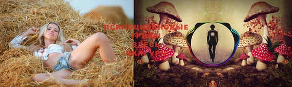 mdma Майский