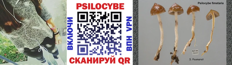 Галлюциногенные грибы мухоморы где можно купить Хабаровск